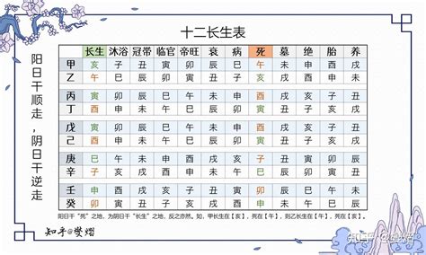 12長生|八字算命基礎——十二長生